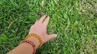 Dauntless Guide: How to Properly Go Outside and Touch Grass - As requested on Stream - Patch 1.10.3.