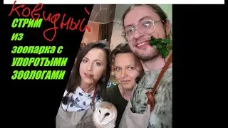 Ковидный стрим с Упоротыми Зоологами