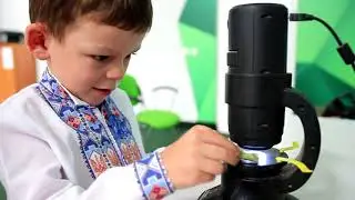 Унікум