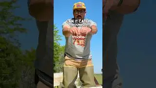 🦞 CAN IT CATCH PT. 2 (crawfish edition)