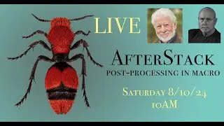 After Stack with Bud Perrott - Post-processing for Macro Photographers - Episode 4