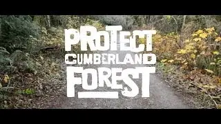 CCFS: Help Save the Cumberland Community Forest!
