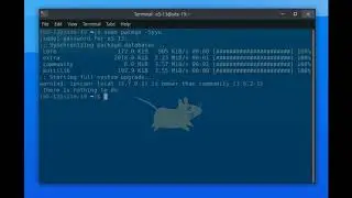 Playing With Terminals (system update, neofetch, Htop)