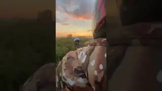 ИЖ ЮПИТЕР 5 и Закат 
