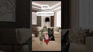 мой день в субботу: 