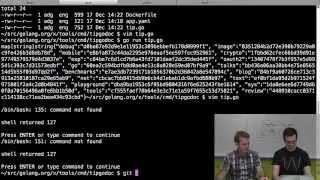 Hacking with Andrew and Brad: tip.golang.org