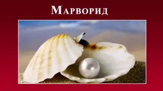 Канзи Шифо  - Малах, Марворид, ТУХМИ МУРҒ