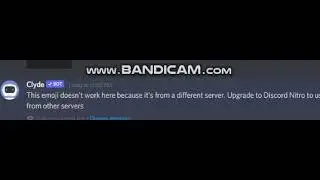 Discord scammer be like.....