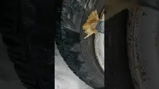 Уникальный способ покраски дисков без снятия с машины #automobile #техсоветы #diy #автохитрости