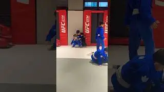 сын / джиу джитсу / поединок
