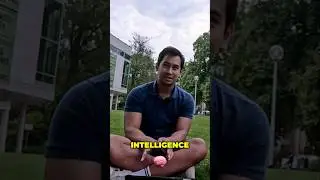 Peluang Karir di Jerman dalam Dunia Artificial Intelligence