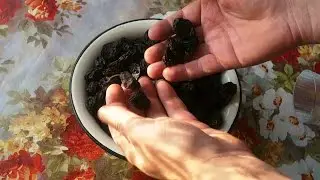 Как Сделать Чернослив и Сок на Дому