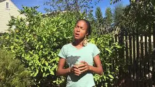 Super greens for super awesome "but that's racist to talk about race" never-ending comments