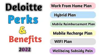 Deloitte Perks and Benefits |Deloitte wellBeing Subsidy Plan|Deloitte WFH Mobile reimbursement plan