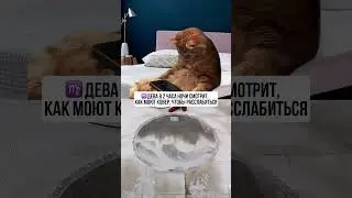 Больше подарков в моем канале, смотри в шапке профиля