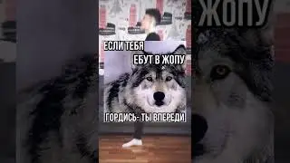 #юмор #мем #мемы #мемы2022 #мемчик