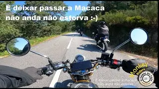 Monkey - Ride pela 2º montanha mais alta do continente Portugal - É deixar passar a Macaca
