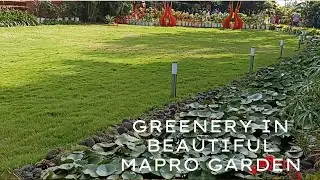 खूबसूरत मैप्रो गार्डन महाबलेश्वर में हरियाली Greenery in Beautiful Mapro Garden Mahabalashwar
