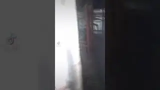 Первая причина,почему я не выращиваю вёшенки зимой