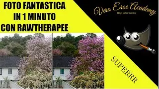 FOTO FANTASTICA IN UN MINUTO CON RAWTHERAPEE