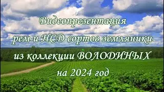 Презентация земляники НСД 24г Ягодное Раздолье