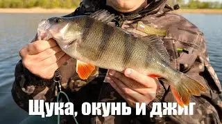 Как мы искали щуку на большой глубине, а нашли еще и окуня