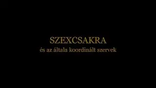 Beszélgetések Árendás László természetgyógyásszal - Szexcsakra és az általa koordinált szervek