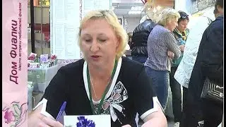 ДФ.Светлана Репкина.Новинки селекции-2017(фиалки РС-)