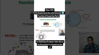 Functions of Human Eye Parts. #humaneyeandcolorfulworld #humaneye #class10science #learnscimathics
