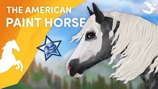 Achat du Nouveau Paint Horse & revue des allures