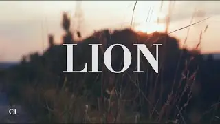 LION | ELEVATION WORSHIP (feat. Chris Brown & Brandon Lake) (LYRIC VIDEO)