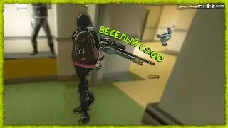 Весёлый CSGO #6