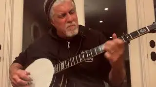 Been Caught Stealing - Jane's Addiction - Banjo Cover