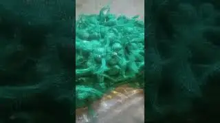 Приманка на соболя 
