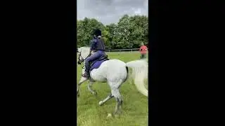 Took him xc yesterday!