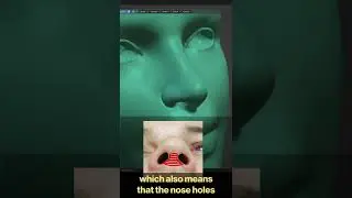 What you never knew about nose holes