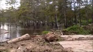 Необъяснимое явление! Unexplained Phenomena!