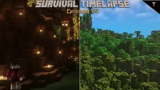 Exploring Mangrove Swamp! | S1 E54 |