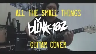 [Guitar Cover] All The Small Things - Blink182 cover by AndhikaEkaF