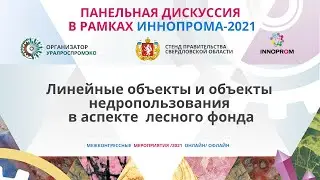 Линейные объекты и объекты недропользования в аспекте лесного фонда