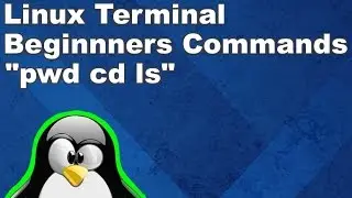 Linux Terminal for Beginners Commands 1: print directory, change directories, and list items