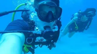 Maui, Hawaii - Lahaina Grill and a Snuba Adventure through AirBnB
