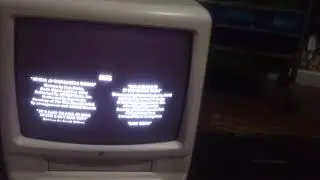 Closing Down To Hitch 2005 VHS