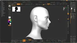 Hair Clumps Setup