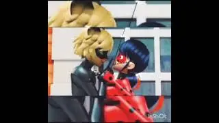 [~Леди Баг🐞 и Супер Кот🐈~]