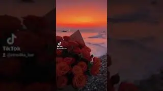#холоднонаморозе