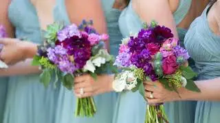 Sean O'Keefe Presents: A Fernbank Museum Wedding