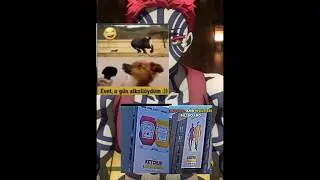 XD