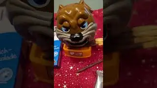 ANGRY doggie #ASMR #schoko keks sticks for doggie #satisfying Sounds #short (2)