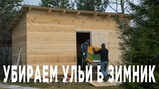 Обзор нашего зимника. Перемещаем пчёл в зимник на тачанке!